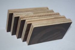 Ván ép phủ phim Cẩm Lâm