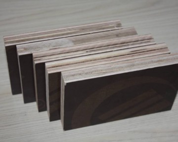 Ván ép phủ phim 18mm