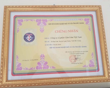 HIỆP HỘI DOANH NGHIỆP NHỎ VÀ VỪA TỈNH BẮC GIANG