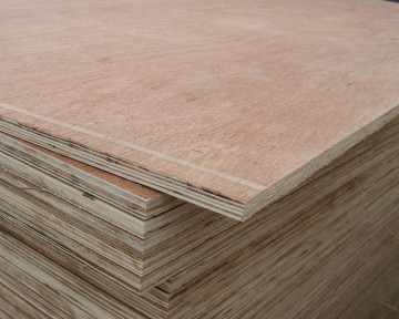 SỰ KHÁC BIỆT GIỮA VÁN ÉP THƯỜNG VÀ VÁN ÉP  CỐP PHA PHỦ PHIM